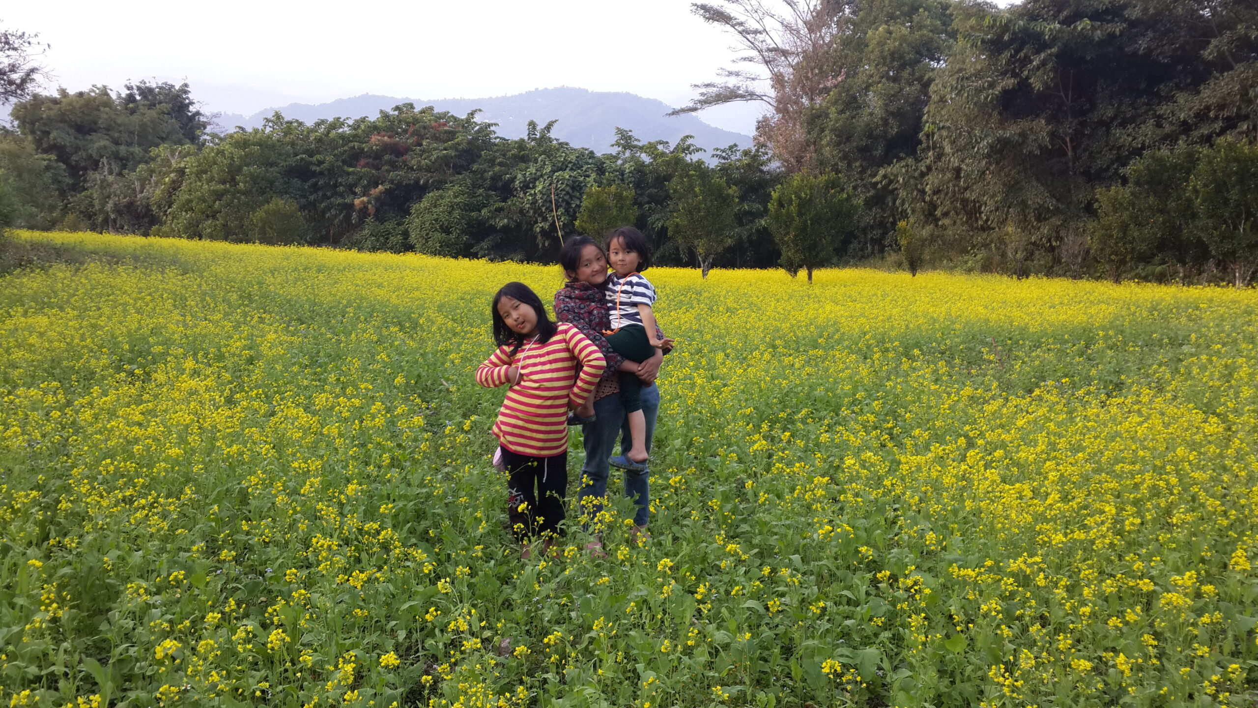 A FARM STAY IN SIKKIM